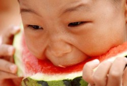 小孩的吃瓜表情视频下载