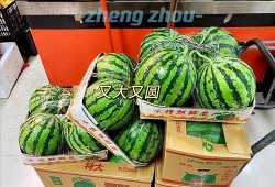 郑州财经吃瓜视频,揭秘吃瓜视频背后的热点事件