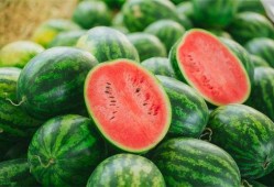 田瓜园吃瓜视频,一场夏日瓜果盛宴的视觉盛宴