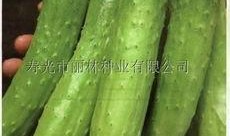 吃瓜视频从哪找素材啊,素材搜集攻略大公开