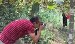 农村吃瓜阿姨视频,揭秘乡村生活趣味瞬间