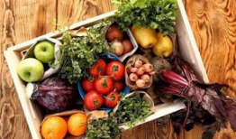 运城美团吃瓜事件视频最新,真相揭秘，网友热议