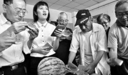 幼儿园父亲节吃瓜大赛视频,萌娃老爸齐欢乐