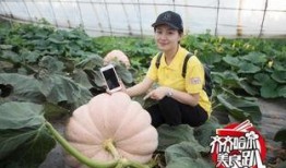 齐齐哈尔吃瓜视频,一场全民参与的趣味盛宴