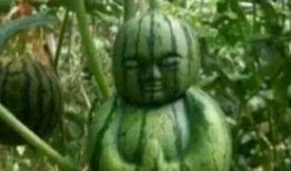 峄城吃瓜事件真相视频,揭秘真相背后的惊人内幕