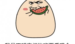 闪萌表情吃瓜视频大全,趣味视频大盘点