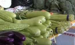 葫芦瓜能蘸蒜吃吗视频,蒜香蘸酱，美味升级！