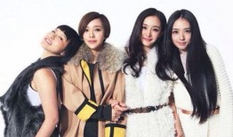 吃瓜少女赵淑芳视频,揭秘娱乐圈幕后故事