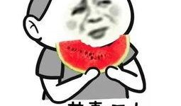 吃瓜群众保定二哥视频,揭秘娱乐圈幕后故事