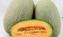 恩恩吃哈密瓜视频,甜蜜滋味，快乐分享