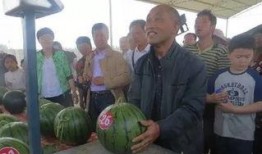 长阳吃瓜群众事件视频最新,一场网络舆论的风暴与反思