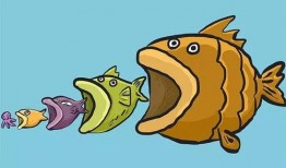 吃瓜和小鱼怪打在一起的视频,一场爆笑的视觉盛宴