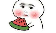 秃崽的吃瓜视频在线观看,揭秘娱乐圈幕后故事