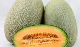 国外吃哈密瓜视频,哈密瓜的异国风情之旅