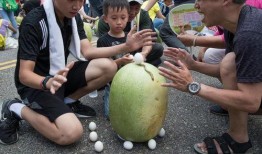 台湾民众吃瓜视频大全集,趣味横生的社会百态缩影