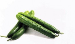 吃瓜写真纯背景视频大全,纯背景视频大全背后的故事