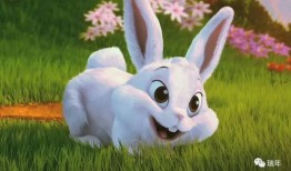 圆瓜兔子可以吃吗视频,揭秘其可食用性及美味烹饪方法