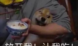 带你吃瓜搞笑科学家视频,揭秘带你吃瓜搞笑科学家的趣味实验之旅