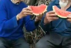 马奶奶吃瓜的视频大全在线观看,欢乐时光尽在掌握