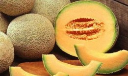 动物吃大哈密瓜视频播放,动物们的大哈密瓜美食之旅