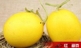 吃瓜嗓子不舒服视频,揭秘常见症状及缓解方法