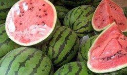 康县网红吃瓜原视频,揭秘当地美食文化魅力