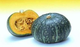 南瓜吃瓜事件真相视频大全