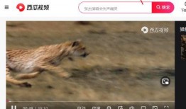 吃瓜视频水印怎么去掉