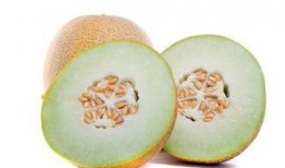 怀孕吃啥蜜瓜比较好呢视频