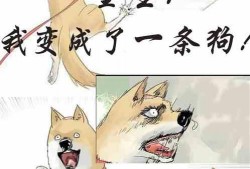 老瓜瓜吃瓜故事视频,揭秘娱乐圈幕后真相