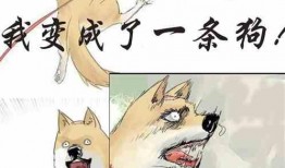 老瓜瓜吃瓜故事视频,揭秘娱乐圈幕后真相