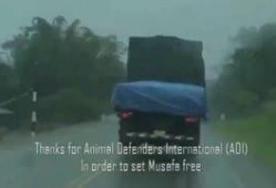 吃瓜视频怪物大全,怪物大全惊悚解析