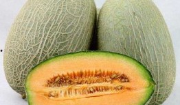 吃哈密瓜嘴烂的视频,网友亲测嘴烂体验