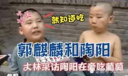 猜拳吃瓜搞笑视频合集,猜拳吃瓜搞笑视频合集大放送