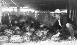 长阳吃瓜群众事件视频最新,一场网络舆论的风暴与反思