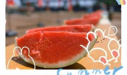 蛋仔大型吃瓜现场视频下载,视频揭秘幕后真相