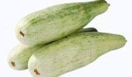 吃羊瓜的视频大全,视频大全带你领略独特风味