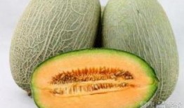 吃哈密瓜露脸视频大全在线观看,笑料横生的视频大全