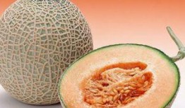 女猴吃哈密瓜视频大全,趣味视频大盘点