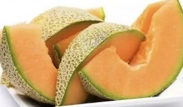 小蜜蜂吃哈密瓜视频,哈密瓜盛宴