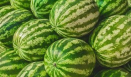 吃瓜视频从哪找素材啊,素材搜集攻略大公开