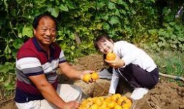 安徽侄媳妇吃瓜视频大全,趣味横生的家庭生活瞬间