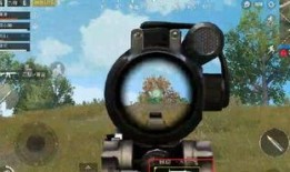 胖大瓜早期吃鸡视频大全