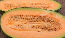 吃哈密瓜露脸视频大全在线观看,笑料横生的视频大全