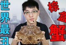 夏庄吃瓜事件视频播放大全,视频播放大全背后的热点追踪