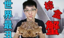 夏庄吃瓜事件视频播放大全,视频播放大全背后的热点追踪