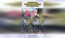 云南大妈的吃瓜视频大全,趣味横生的乡村生活剪影