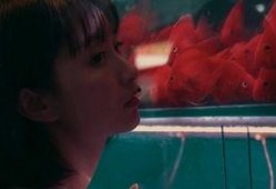 视频吃瓜女孩在线观看,吃瓜女孩在线观看，揭秘热门视频幕后故事