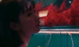 视频吃瓜女孩在线观看,吃瓜女孩在线观看，揭秘热门视频幕后故事