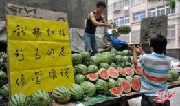 高手在民间吃红瓜视频,创意烹饪惊艳味蕾